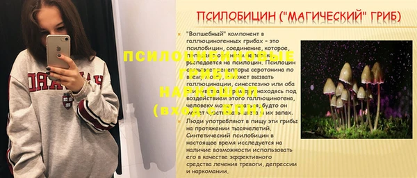стафф Алзамай