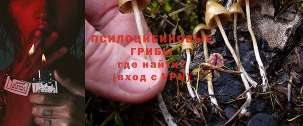 СК Абинск