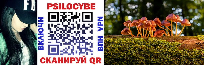 цена наркотик  Анадырь  Псилоцибиновые грибы прущие грибы 